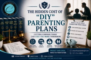 parenting plans - diy flaws